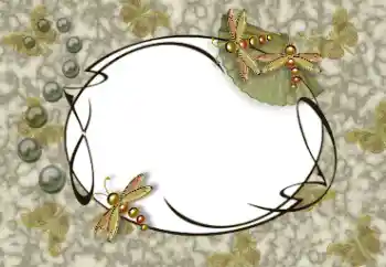 照片效果分类 各类 № 94862