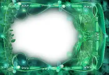 照片效果分类 各类 № 99844