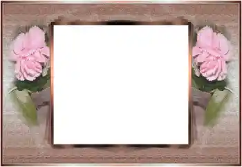 照片效果分类 丧带 № 196607