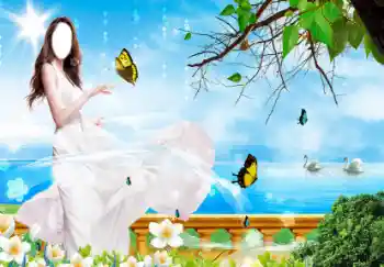 照片效果分类 女性 № 34978
