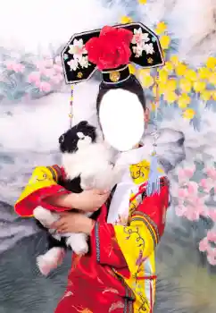 照片效果分类 女性 № 47086 照片效果分类 女性 № 47086