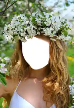 照片效果分类 女性 № 68660