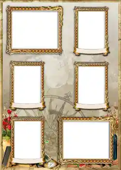 照片效果分类 1号相册 № 839