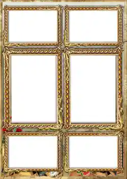 照片效果分类 1号相册 № 842