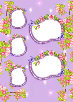 照片效果分类 3号相册 № 858