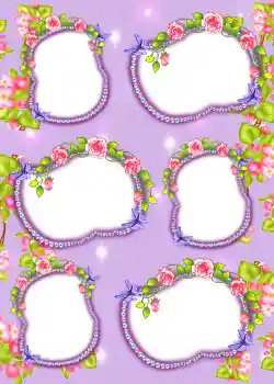 照片效果分类 3号相册 № 903