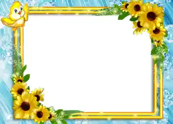 照片效果分类 4号相册 № 866