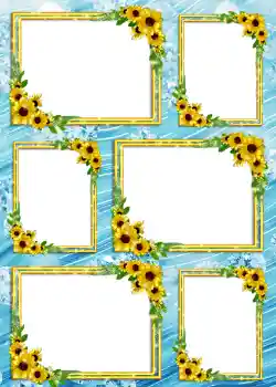 照片效果分类 4号相册 № 904