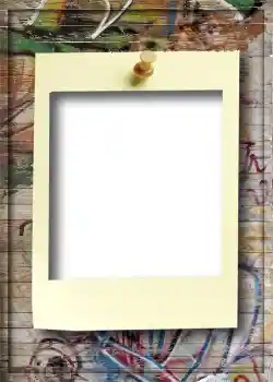 照片效果分类 5号相册 № 908 照片效果分类 5号相册 № 908