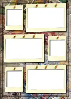 照片效果分类 5号相册 № 913