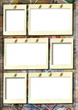 照片效果分类 5号相册 № 915