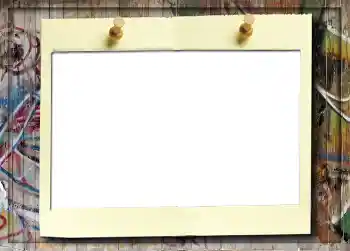 照片效果分类 5号相册 № 916 照片效果分类 5号相册 № 916