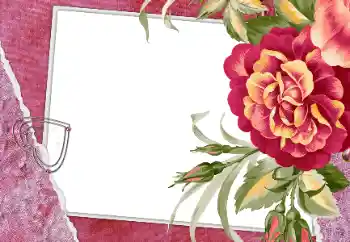 照片效果分类 情人边框 № 112250 照片效果分类 情人边框 № 112250