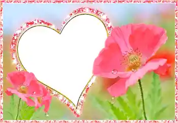 照片效果分类 情人边框 № 112482 照片效果分类 情人边框 № 112482