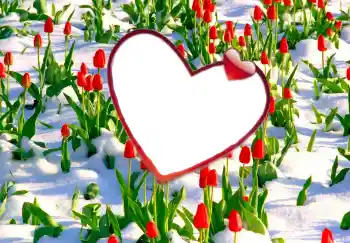 照片效果分类 情人边框 № 114247 照片效果分类 情人边框 № 114247