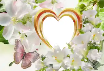 照片效果分类 情人边框 № 114320 照片效果分类 情人边框 № 114320