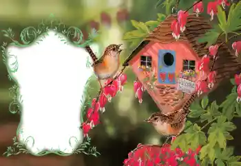 照片效果分类 情人边框 № 114522 照片效果分类 情人边框 № 114522