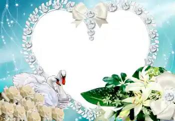 照片效果分类 情人边框 № 117218 照片效果分类 情人边框 № 117218
