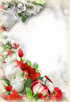 照片效果分类 情人边框 № 119997 照片效果分类 情人边框 № 119997