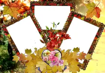 照片效果分类 情人边框 № 124326 照片效果分类 情人边框 № 124326