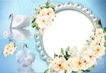 照片效果分类 情人边框 № 12891 照片效果分类 情人边框 № 12891