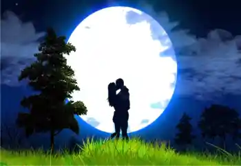 照片效果分类 情人边框 № 131783 照片效果分类 情人边框 № 131783