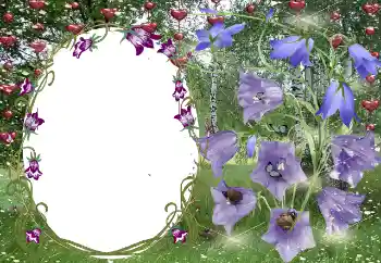 照片效果分类 情人边框 № 131799 照片效果分类 情人边框 № 131799