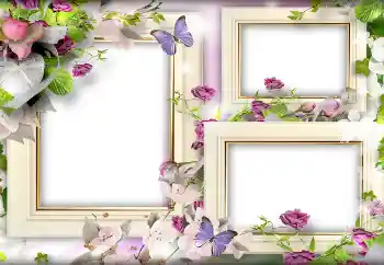 照片效果分类 情人边框 № 141166 照片效果分类 情人边框 № 141166