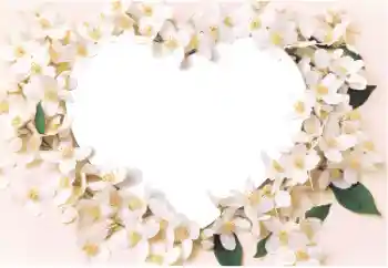 照片效果分类 情人边框 № 14892 照片效果分类 情人边框 № 14892