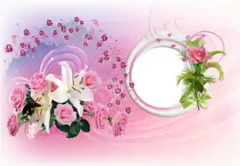 照片效果分类 情人边框 № 151693 照片效果分类 情人边框 № 151693