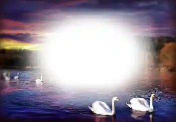 照片效果分类 情人边框 № 153250 照片效果分类 情人边框 № 153250