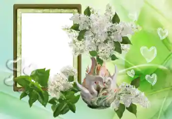 照片效果分类 情人边框 № 153257 照片效果分类 情人边框 № 153257