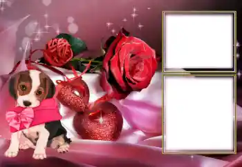 照片效果分类 情人边框 № 154605 照片效果分类 情人边框 № 154605