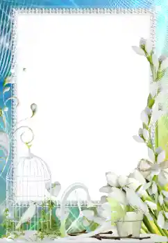 照片效果分类 情人边框 № 158305 照片效果分类 情人边框 № 158305