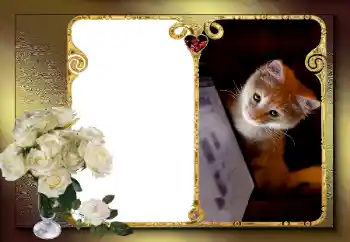 照片效果分类 情人边框 № 163583 照片效果分类 情人边框 № 163583