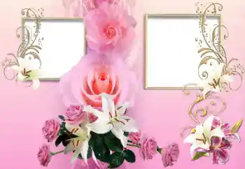 照片效果分类 情人边框 № 167857 照片效果分类 情人边框 № 167857