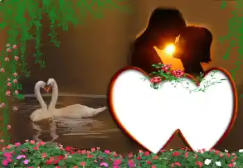 照片效果分类 情人边框 № 16951 照片效果分类 情人边框 № 16951