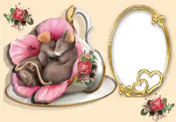 照片效果分类 情人边框 № 170567 照片效果分类 情人边框 № 170567