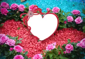 照片效果分类 情人边框 № 175547 照片效果分类 情人边框 № 175547