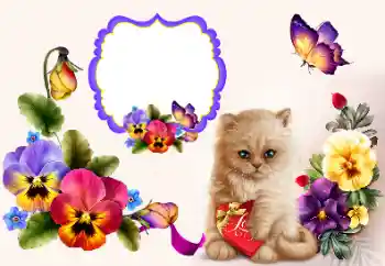 照片效果分类 情人边框 № 177858