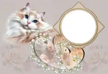 照片效果分类 情人边框 № 180791 照片效果分类 情人边框 № 180791