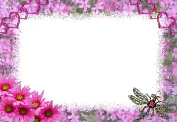 照片效果分类 情人边框 № 1817 照片效果分类 情人边框 № 1817