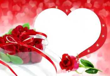 照片效果分类 情人边框 № 190531 照片效果分类 情人边框 № 190531