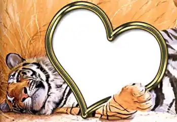 照片效果分类 情人边框 № 2202