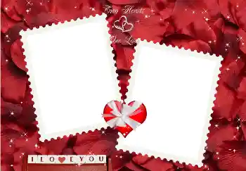 边框标语: I love you!