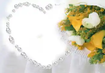 照片效果分类 情人边框 № 2856 照片效果分类 情人边框 № 2856