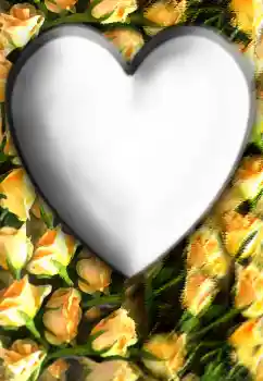 照片效果分类 情人边框 № 32804 照片效果分类 情人边框 № 32804