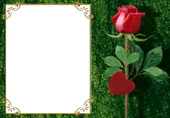 照片效果分类 情人边框 № 34006 照片效果分类 情人边框 № 34006