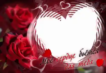 边框标语: Моё сердце бьётся для тебя 边框标语: Моё сердце бьётся для тебя