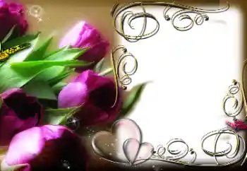 照片效果分类 情人边框 № 38534 照片效果分类 情人边框 № 38534